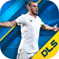 DLS 25 MOD